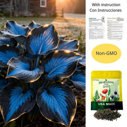 🔥Last Day 49% OFF-Premium Rare Hosta Seeds🌿Shade-Tolerant Plant