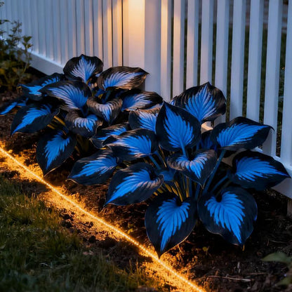 🔥Last Day 49% OFF-Premium Rare Hosta Seeds🌿Shade-Tolerant Plant